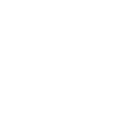 Customer Advisor