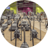 Calypso Fitness Konin