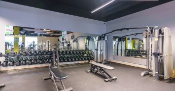 Strefa wolnych ciężarów - Siedlce