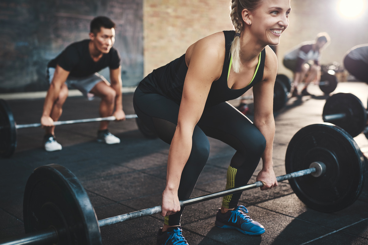 calypso fitness sztangi